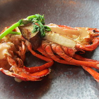 THE GRAND 47 - オマール海老と春野菜のココット