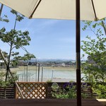 まつぼっくり - 