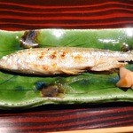 野口太郎 - 2011年11月撮影