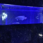 焼肉 拍手喝采 - 