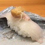 すし処 大敷 - カワハギと肝　ぽん酢ムース