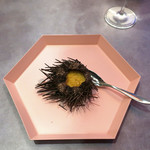 BIKiNi SIS - 雲丹のグラティナード