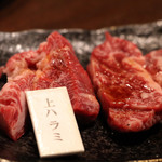 Wagyuu Yakiniku Wakakatsu - 