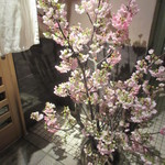 天寿し - 4月の活花