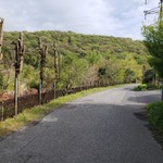 山小屋　佐藤 - 店舗前道路（小さく雉が写っています。）