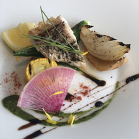 JUTURNA - 
