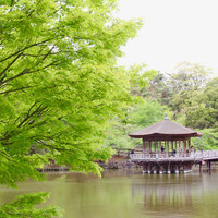 メインダイニングルーム 三笠 - 