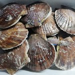 マリンハウス脇野沢 - 送られてきたホタテ