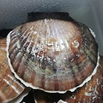 マリンハウス脇野沢 - 送られてきたホタテ