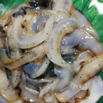 マリンハウス脇野沢 - ヒモ