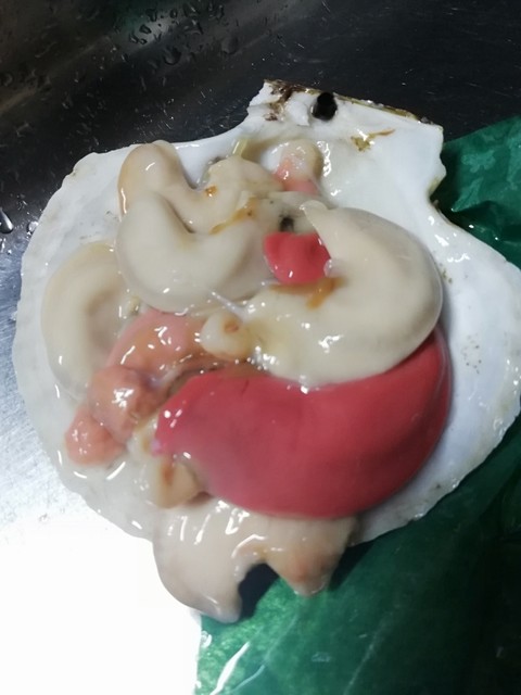 マリンハウス脇野沢 - むつ市その他（その他）の写真