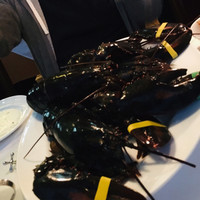 トラットリア グランボッカ - オマール海老