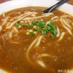 ねぶた - カレーうどん