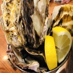 海鮮イタリアン食堂 Fish House MARIO Bocca - 