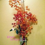 建仁寺 祇園 丸山 - 