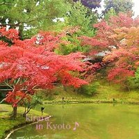 建仁寺 祇園 丸山 - 