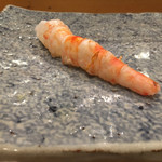 小判寿司 - 海老。