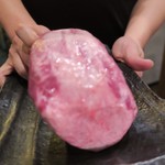 これ切ります！！