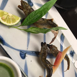 おおさか料理  浅井 - 