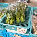 八紘学園 農産物直売所 - 【2019年05月】北広島産の青梗菜。