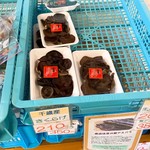 八紘学園 農産物直売所 - 【2019年05月】千歳産のきくらげ。