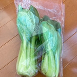 八紘学園 農産物直売所 - 【2019年05月】北広島産の青梗菜＠150円、結構しっかりしてます。