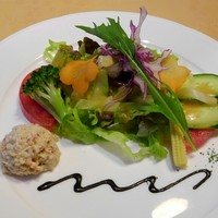 中納言 大阪駅前第3ビル店 - 彩り新鮮野菜サラダ