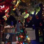 バナナポップ - クリスマスバージョン。