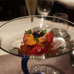 グランド ダイア - ”赤丸” 徳島県産フルーツトマト珊瑚樹 雲丹 キャビア