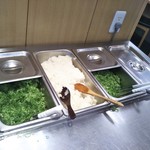 釜揚げうどん岡じま - 無料の薬味(2019年5月1日撮影)