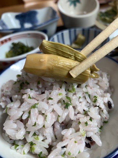 春の香りと大地の滋味 山菜料理を楽しもう By 流れ星 うどん山菜 塩屋 うどんさんさい しおや 真駒内 うどん 食べログ 春の香りと大地の滋味 山菜料理を楽しもう By 流れ星 うどん山菜 塩屋 うどんさんさい しおや 真駒内 うどん 食べログ