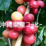 Baisen Koubou Yuuban Ta Ko-Hi- - 沖縄県産コーヒー