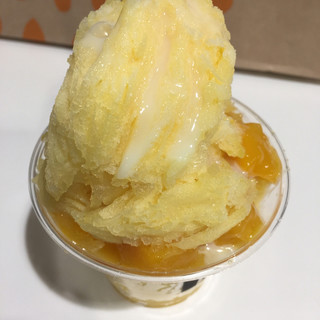 アイス オアシス_1