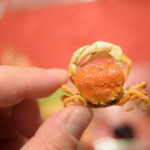 ビストロ セレニテ - さわがに