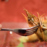 ビストロ セレニテ - 