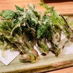 酒肴晴 - 山菜天ぷら