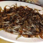 イモコダイニング - 川海老生きています。