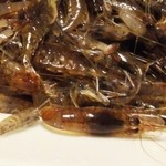 イモコダイニング - ピチピチ