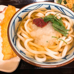 Marugame Seimen - 梅おろし冷かけ、いか天