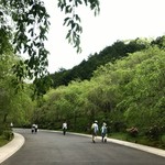 ピーチバレイ - エントランスとミホミュージアムをつなぐ道