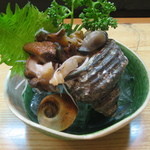 寿司・うなぎ 羽子吾 - さざえの刺身