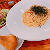 ブラチェリア バーヴァ - 