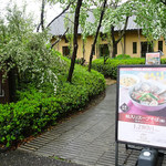 中国料理　桃仙