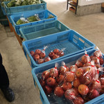 八紘学園 農産物直売所 - 農産物