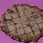 近畿大学水産研究所 - 