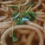 天竜そば ニュー藤屋 - 