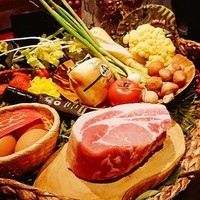 オッジ ダルマット 西麻布店 - 本日の食材