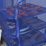 天史朗鮨 - 沢山の種類の魚が干されています