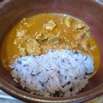 風遊斎 - スパイスチキンカリーのアップ