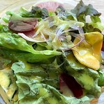 旬菜とワイン、和酒の店 アルヴェル - サラダ美味しいですよん